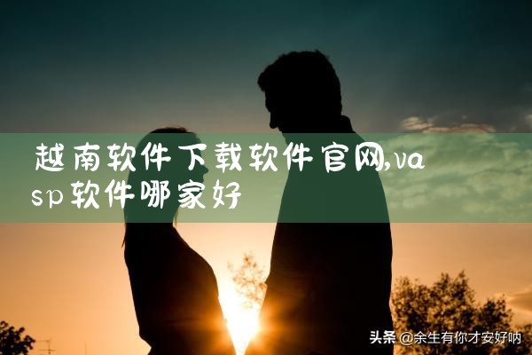 越南软件下载软件官网