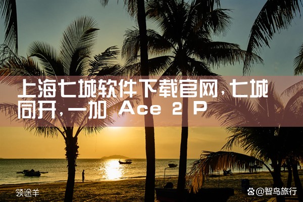 上海七城软件下载官网