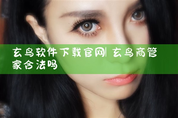 玄鸟软件下载官网