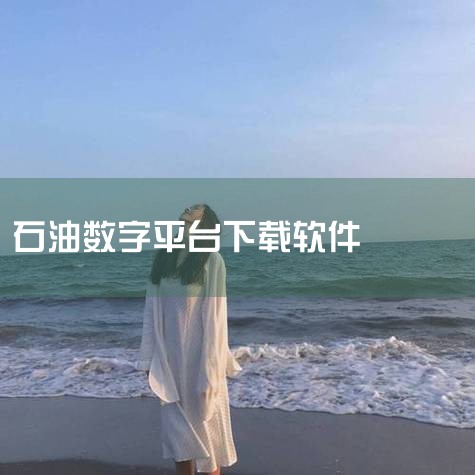 工业软件集成开发应用支撑系统是中石油自主研发的油气行业工业软件平台，采用云原生敏捷开发运维体系，构建了开放共享的软件运营生态。该系统通过标准化、模块化的设计，支持油气行业全流程数字化管理，为工业软件的|
