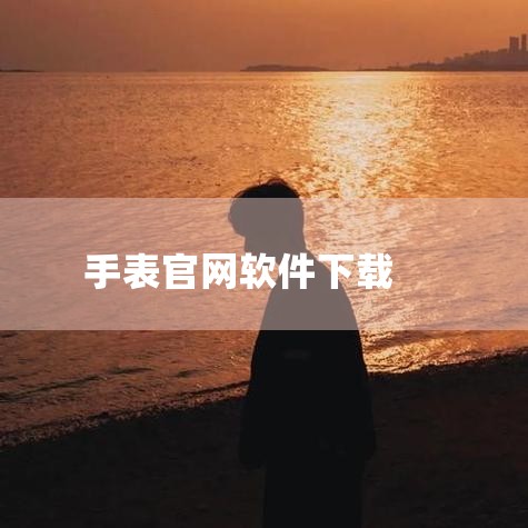 1. 通过卡西欧官网下载访问卡西欧官方网站（需确认网址为官方域名，如casio.com），进入“下载中心”或“产品支持”页面。根据手表型号（如G-SHOCK系列）查找对应的APP安装包，下载后按提示安,