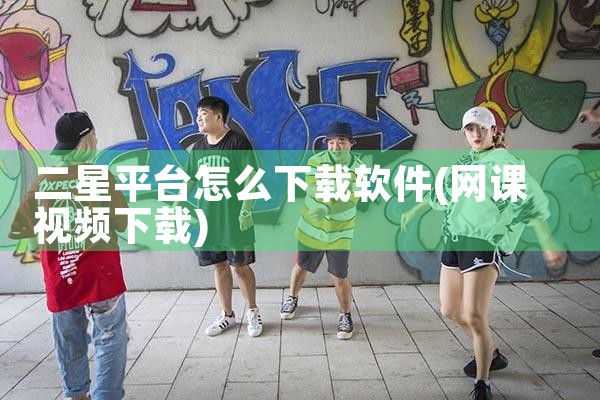 二星平台怎么下载软件