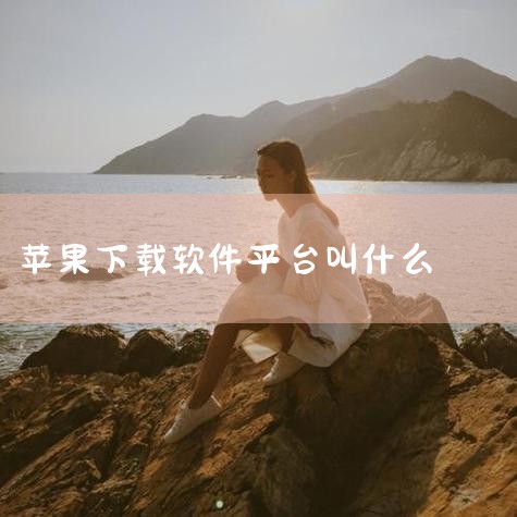 App Store是苹果公司于2008年7月11日正式上线的应用程序分发平台。该平台覆盖范围广泛，包括iPhone、iPad...,