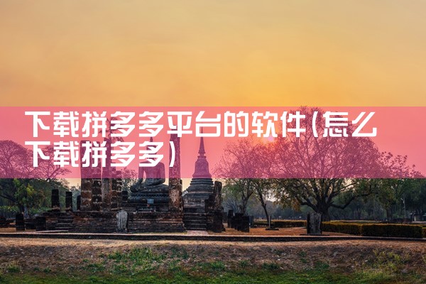 下载拼多多平台的软件