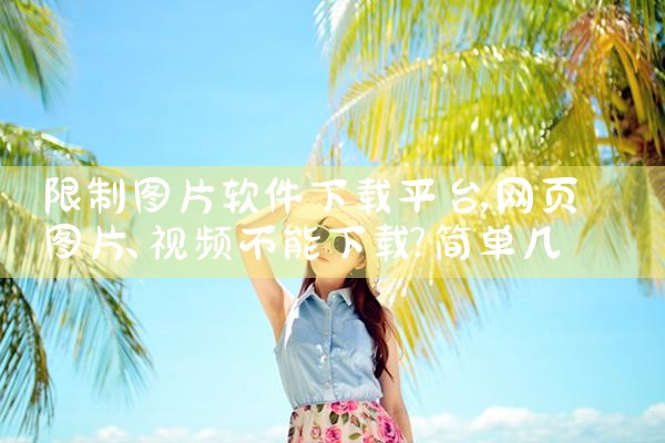 限制图片软件下载平台