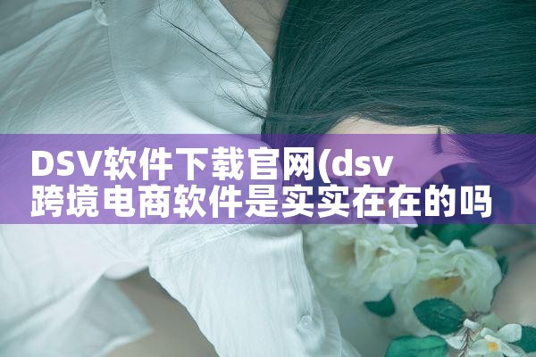 DSV软件下载官网
