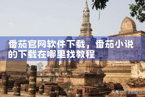 番茄官网软件下载