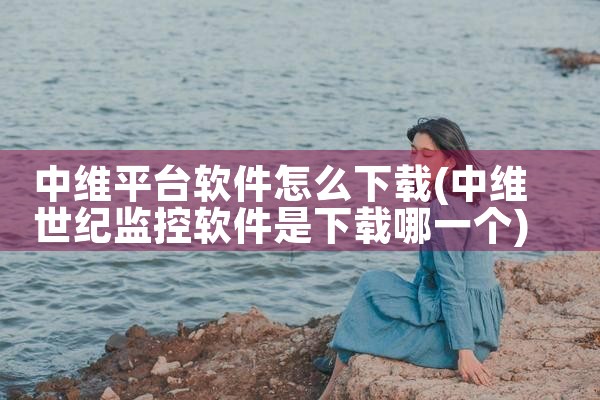 中维平台软件怎么下载