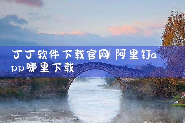 丁丁软件下载官网