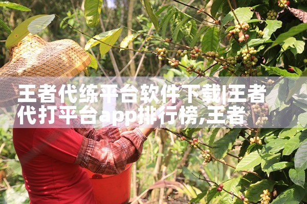 王者代练平台软件下载