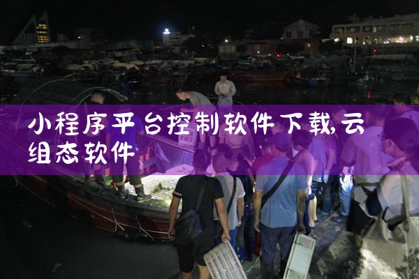 小程序平台控制软件下载