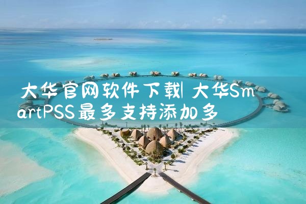 大华官网软件下载